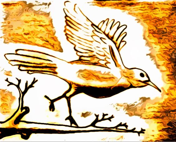 Illustrations – ALPJ and Sons